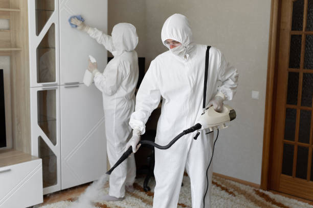 Office Mold Removal Services in City View, SC