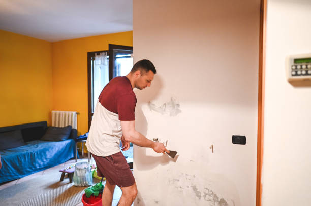 Professional Mold Removal in City View, SC