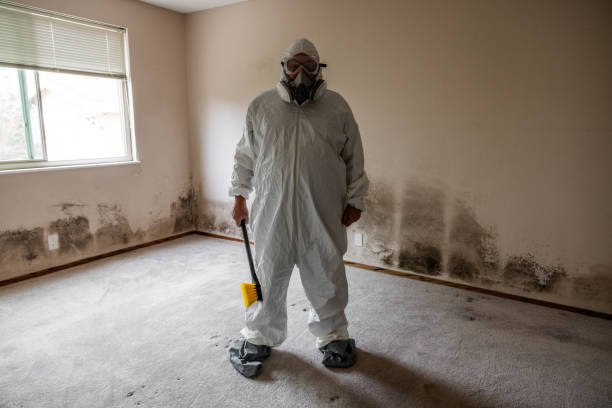 Best Mold Removal and Inspection  in City View, SC